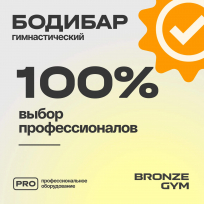 Бодибар BRONZE GYM BG-FA-BDB2 2 кг