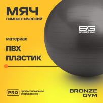 Мяч гимнастический GYM BALL ANTI-BURST FA-GB55 55 см